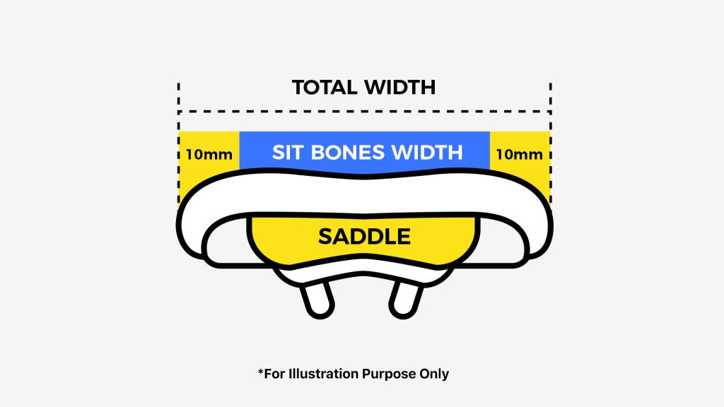 Measuring Sit Bones for Saddles