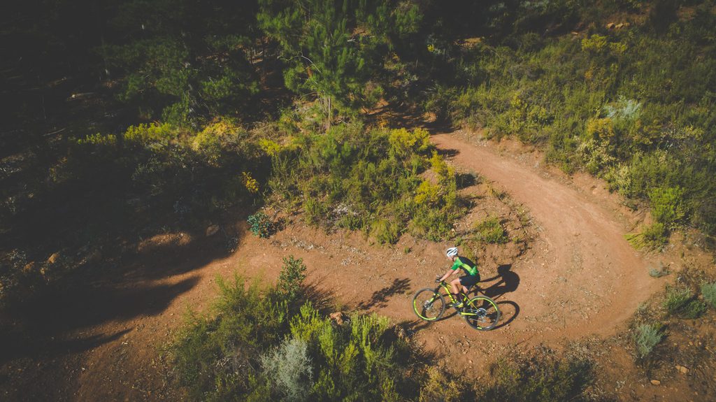 Mountain Biker in a Trail